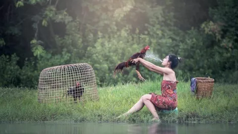 中国北京种业大会