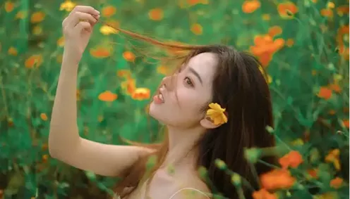 云南大理鸡枞菌