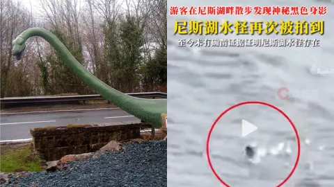 尼斯湖水怪