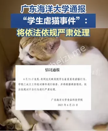 虐猫事件