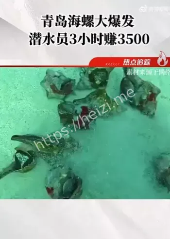海螺大爆发