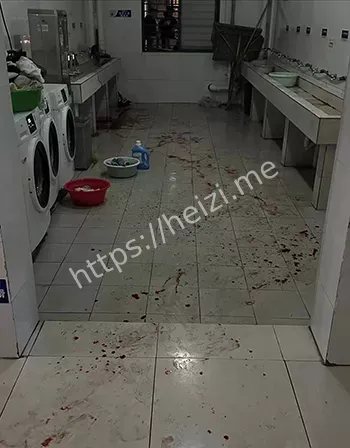 洗衣房血案