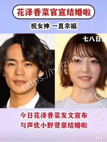 花泽香菜离婚原因猜测