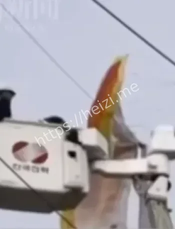 广西滑翔伞事件