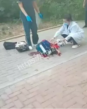 多人受伤砍人惨案真相