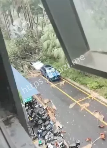 暴雨黄色与风橙并行