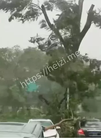 暴雨黄色与风橙并行