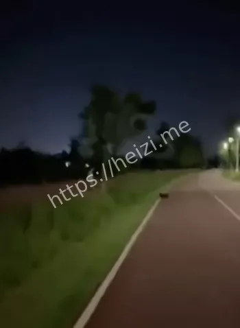 龙泉驿警方排除刑案