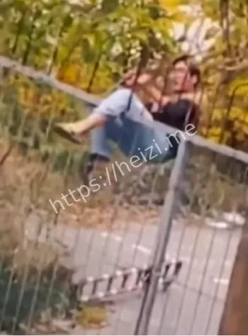 山东服装职业学院黄毛事件