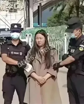 电信诈骗430亿黑幕