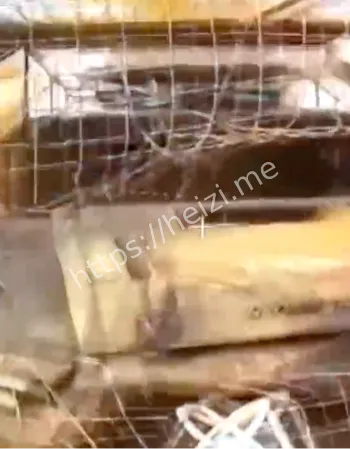 俄军光纤FPV摧毁乌克兰坦克