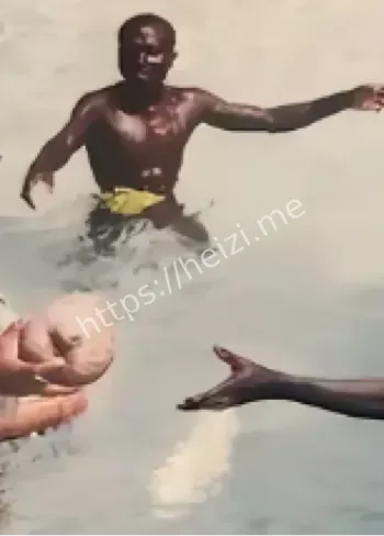 北哨兵岛杀人无罪