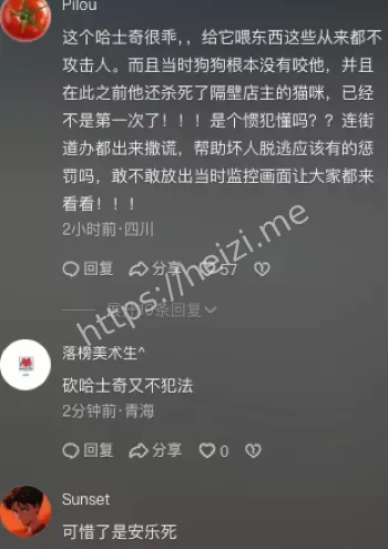 成都流浪哈士奇事件