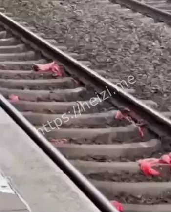 精神崩溃卧轨事件全过程