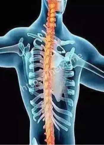 不死癌症晨僵危害