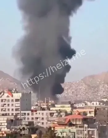 边境冲突升级伤亡数据分析