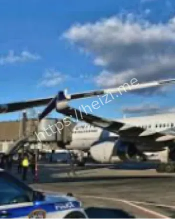 机相撞事件真相