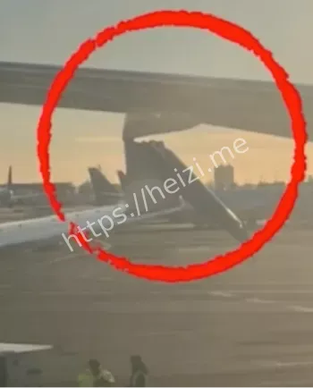 机相撞事件真相