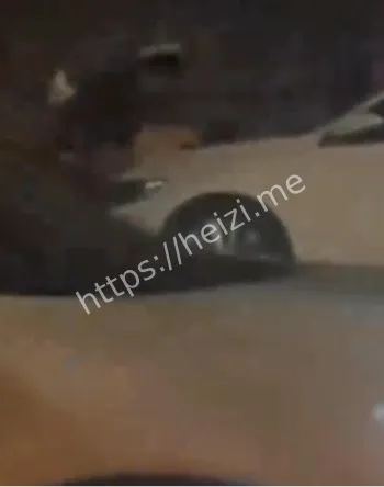 濮阳华府山水机顶盖男女视频