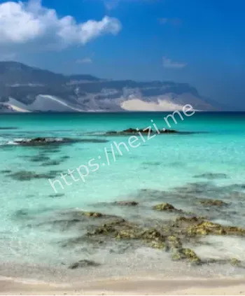 龙血树鲜红树脂药用传说