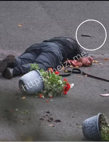 袭击者吉哈德阿尔沙米