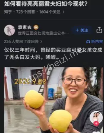 亮亮丽君夫妇近况铁粉出走