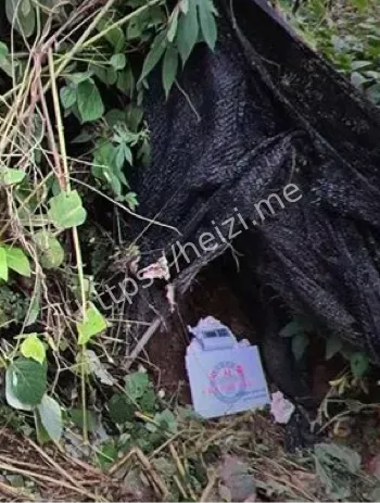 行李箱弃尸山区