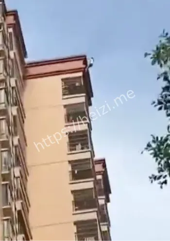 广东清远学生跳楼事件