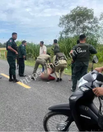 柴桢省法院劫囚