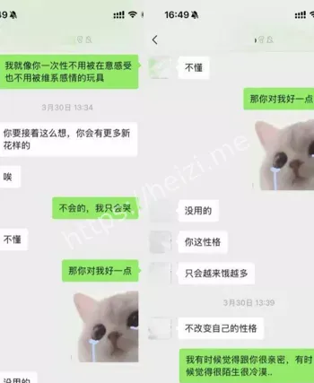 网红甜妹婚外情感视频