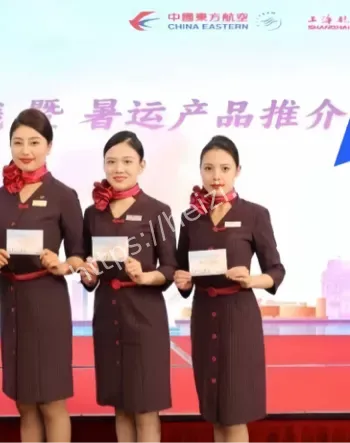 空姐小三王文洁身份大揭秘