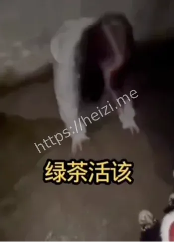 糕冷小羊霸凌学妹视频