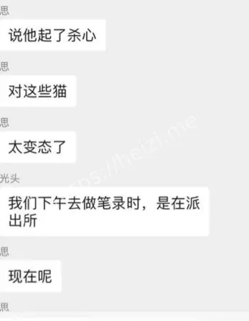 流浪猫被复合弓射杀