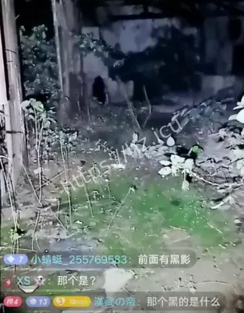 东南亚废弃寺庙