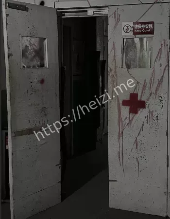 诡影病房真实事件