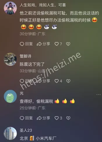 陈震偷税细节曝光