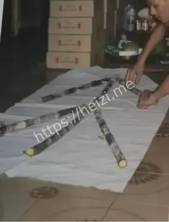 灵魂转世真实案例