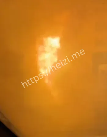 现场惨烈画面疯传