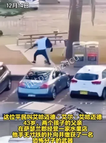 邦迪海滩光明节枪击案