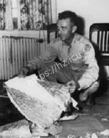 罗斯威尔外星人尸体