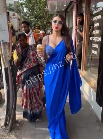 海得拉巴活动围堵事件