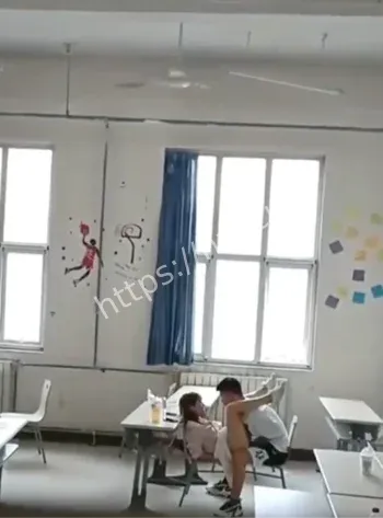 杨玥曲晓毅隋全强事件