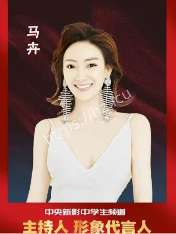 央视主持人马卉风波