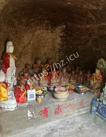 但千万别求感情